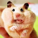 Fraser Allan - @Fraser_A - Twitter