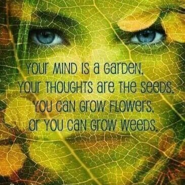 Advocate of ones own and others ability to alter our thinking to benefit all areas of our collective lives. Nurse, Homeopath, Hypnotherapist.