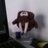 gandialaura's profile image