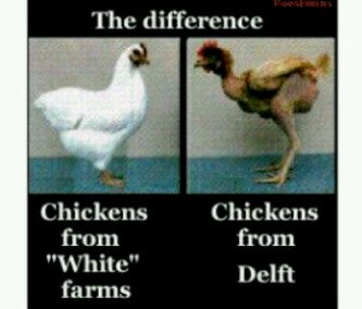 We kallits do it mal vra jou ma