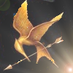 Hunger Games Trilogy (@hgtfansite) Twitter profile photo Hunger Games Trilogy (@hgtfansite) Twitter profile photo