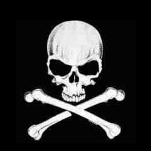 BLOGGER/CEO/FOUNDER OF PIRATE LIFE ENT. INTERNET PROMOTER/PIRATE LIFE THE NEW REVOLUTION