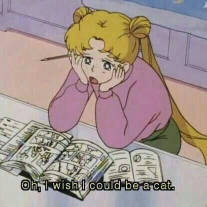 glitzerpizza's profile picture. 'Aber die Lebenseinstellung bleibt bei denen, die sie leben /
Segelyachten kann man stehlen.'