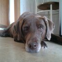 Fernando Arocha - @fernandoarocha - Twitter