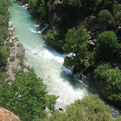 merhaba gerçekler