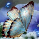°• ♡☆ Awatef ☆♡ •° (@139f43cb4838447) Twitter