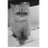 juvenilejustin's profile image