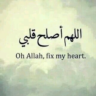 16c14fccae224c6's profile picture. even if your eyes are close do it with a heart wide open ♡~