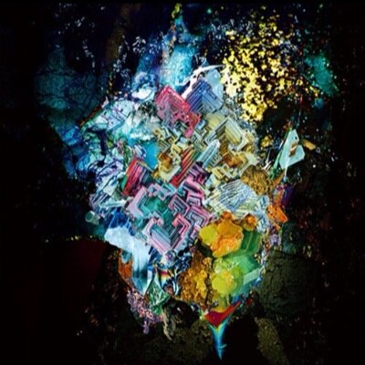 よろしく〜、高2、桶川、上尾、RADWIMPS