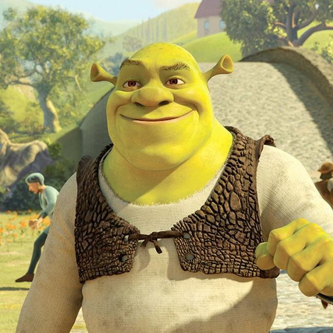Once upon a time, in a far away swamp, there lived an ornery ogre named Shrek.