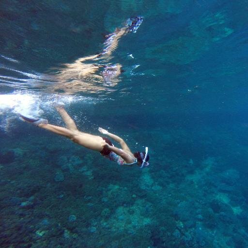 +62 | Virgo | ENFP | love to travel | believe that ❤ is all you need | 
 📧: sheilakartika88@gmail.com