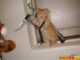 SamuPojat's profile picture. 