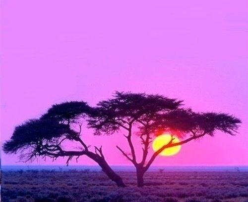 wulinxiaodao's profile picture. 致力於推特打醬油