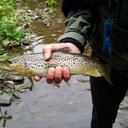 robert schipper - @robert_schipper - Twitter