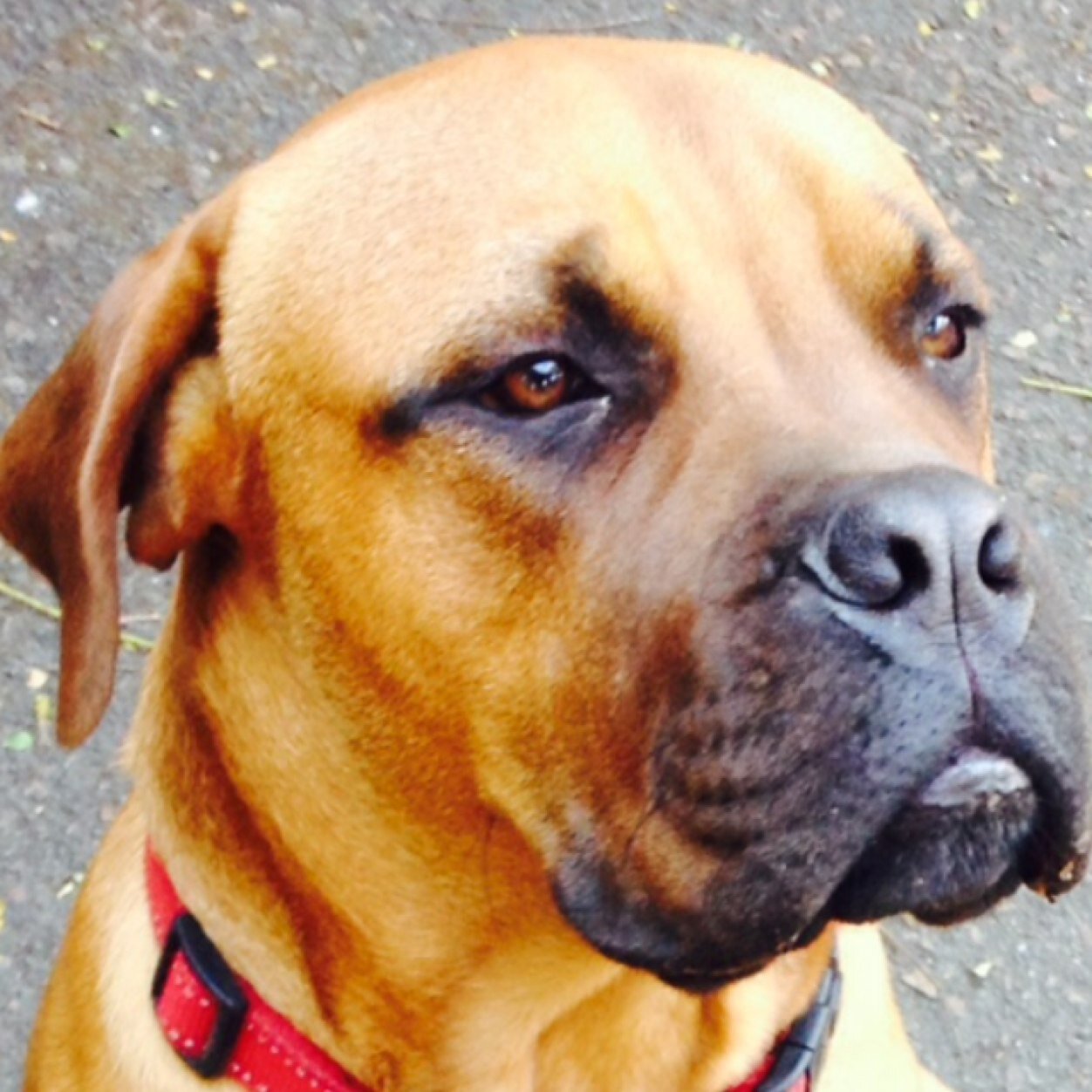 AndyDavisMahala's profile picture. Music, Culture, Reality