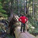 Markham Lee - @MarkhamLee - Twitter