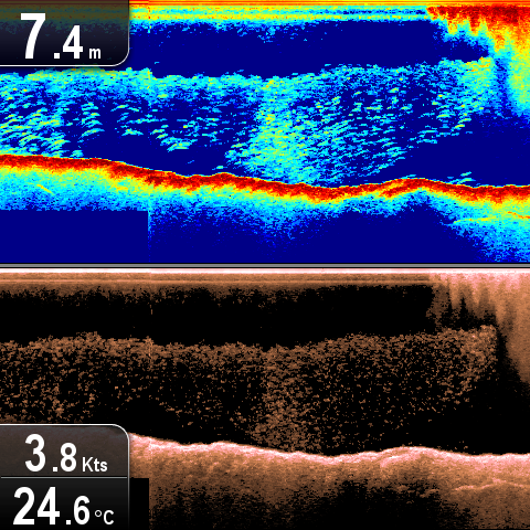 MarineParts1903's profile picture. 