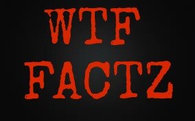 Fun Factz. EMAIL ME: wtfunfactz@gmail.com