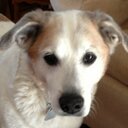 Lesley Harrington - @LesleyH25626720 - Twitter