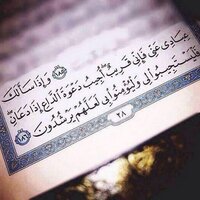 سعود عبده  (@gooa112501) 's Twitter Profile