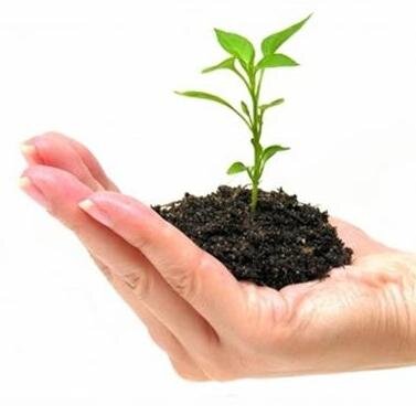 We offer a free business consultation and offer advice on where we can help your business to grow and thrive.