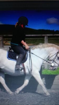 FosterLisa30's profile picture. horse riding instructor at pockerley riding school