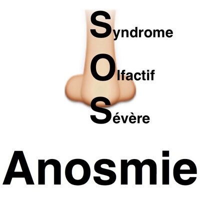 sos anosmie (@sosanosmie) | Twitter sos anosmie (@sosanosmie) | Twitter