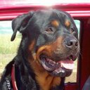 Trevor Clement - @Trevorc47 - Twitter