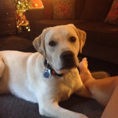 AdamsColleen4's profile picture. 