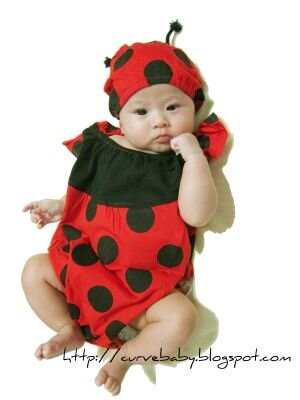 For order, kindly contact:
Email: curvebaby@gmail.com