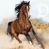 The horse in the picture is not Sean Bean.