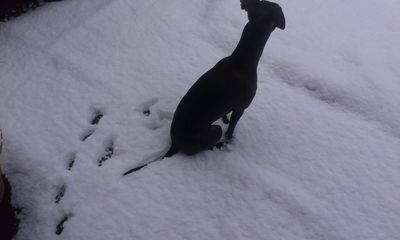 my baby girl layla(OTRB) 💗, and my boy mason(OTRB)😔