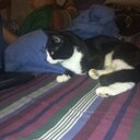 Randy Arias-Martin - @MRandy5077 - Twitter