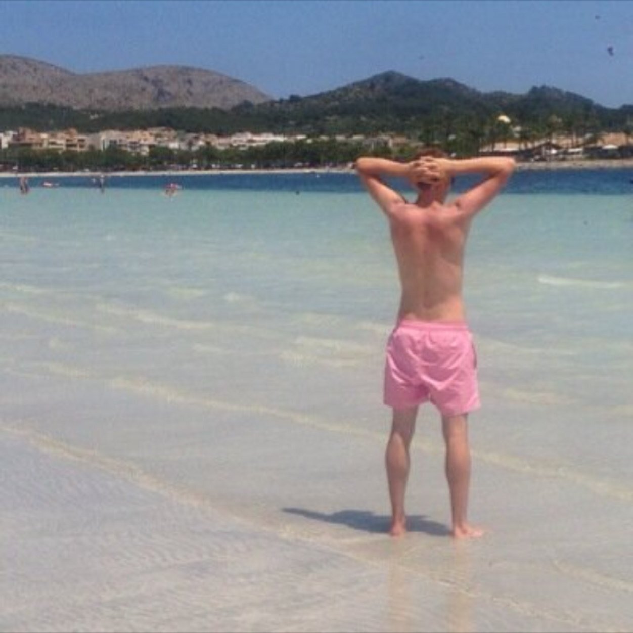 reescook1's profile picture. 