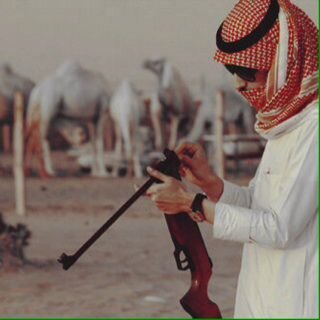 ( قيممر ) كلل مايخصني في مفضلتي ○_~