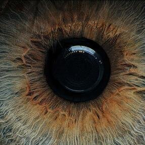 surreal photography
