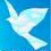 Andre Orban ✈ (@sn26567) 's Twitter Profile Photo Andre Orban ✈ (@sn26567) 's Twitter Profile Photo