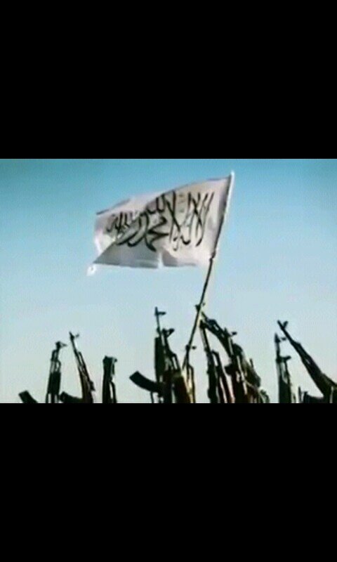 saaed78352's profile picture. BB:7CB57B30