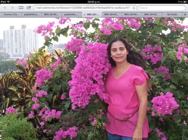 yulyper09's profile picture. 