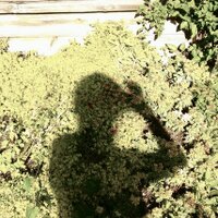 Kathleen Burke (@kathlee54272830) 's Twitter Profile