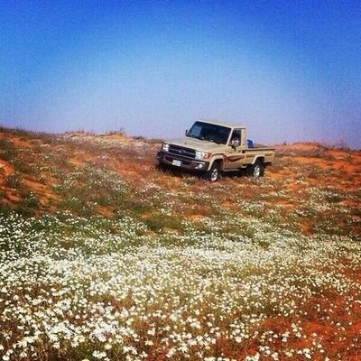 asas887781's profile picture. 