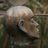 Chris__au's profile image