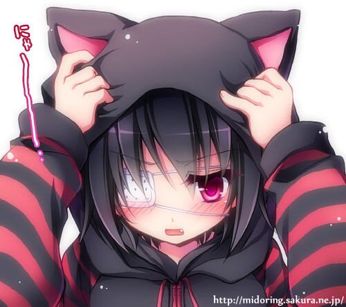 I am a neko! im age 2 so you will expect me to cry a lot! appearance:Black hoodie white patch over eye pink eyes black hair black tail and ears