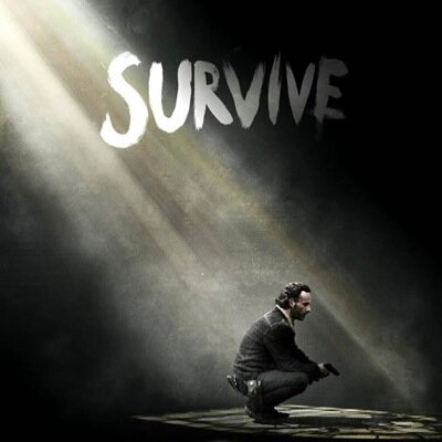 Everything the walking dead #TWDFAMILY