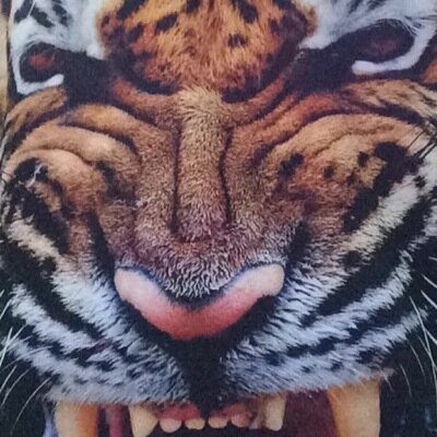 snap:Abboud_77 أجمَل لحَظةْ بالحَياةْ ؛ هِي أنْ يَتحَققْ فِي النَهايةْ مَا صَبرتّ لأجَلُه ...‹✉̸