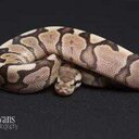 Daniel Collette - @danlifeline - Twitter