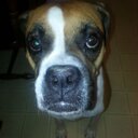 mark crespo - @GirlSart - Twitter