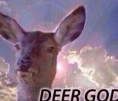 Gnash3r24's profile picture. 