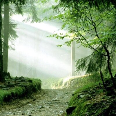 alt2999's profile picture. 