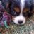 ckho888's profile image